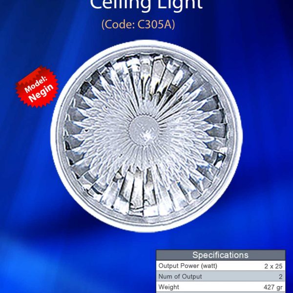 Negin design Built-in ceiling C305A